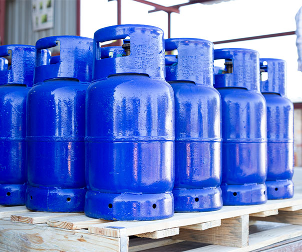 Methyl Bromide