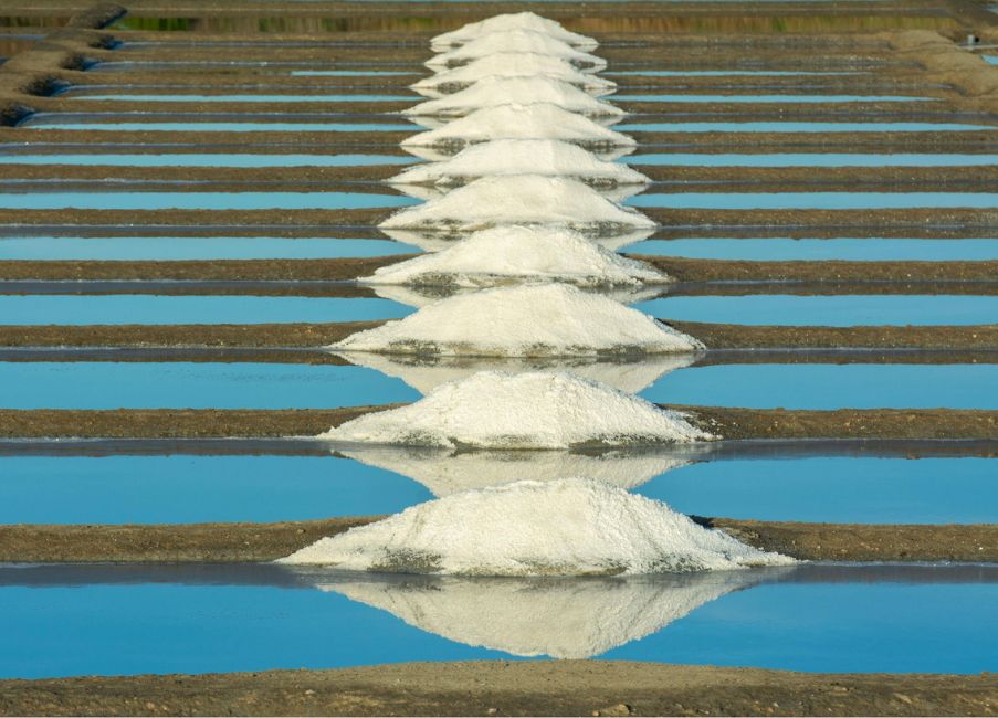 Pearl Salt Works Private Limited